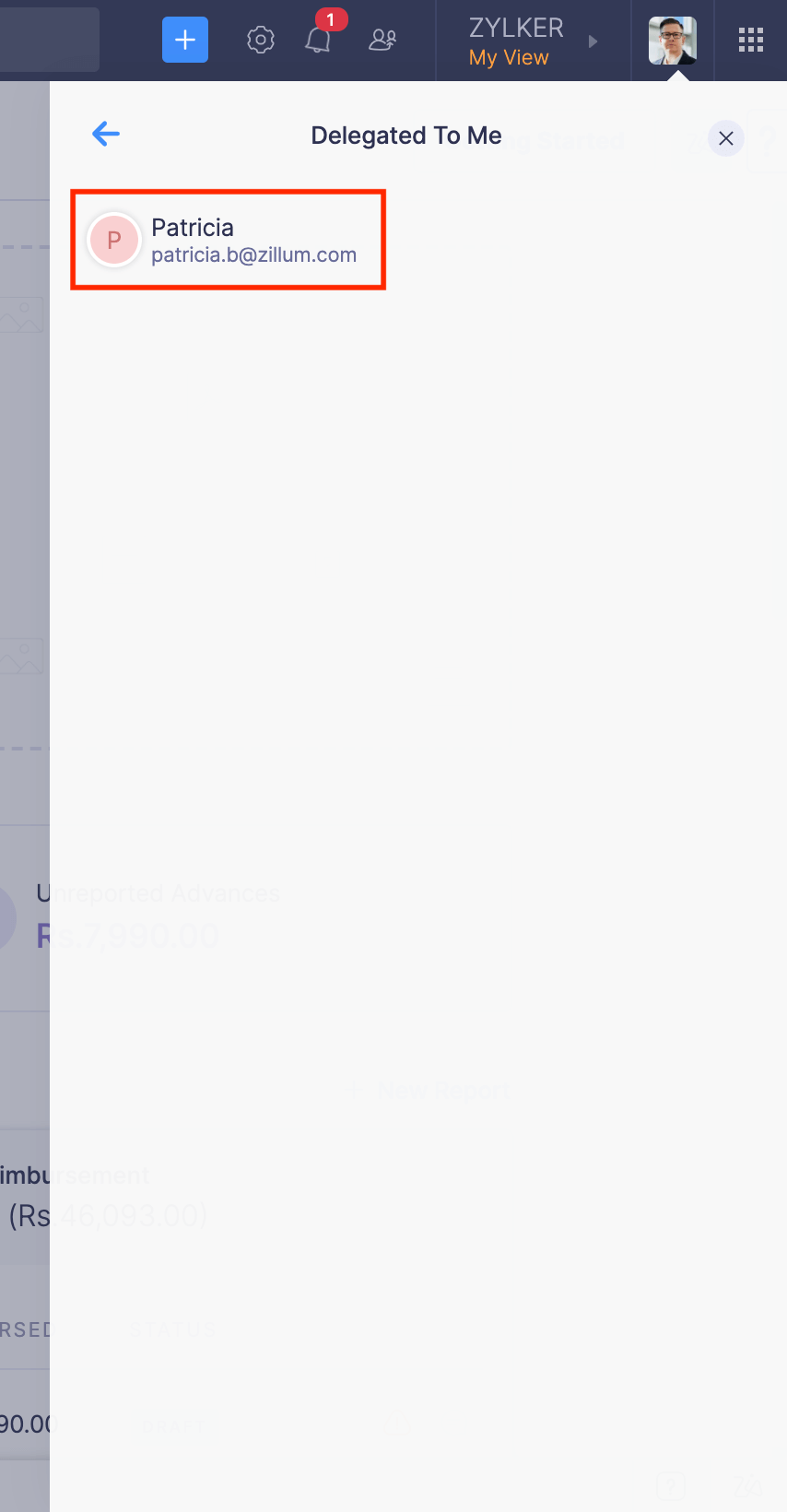 Switch to Delegate's View